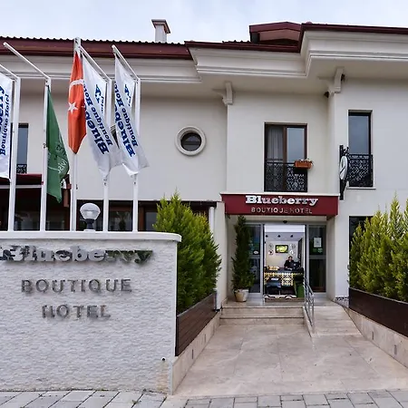 Blueberry Boutique Hotel-3