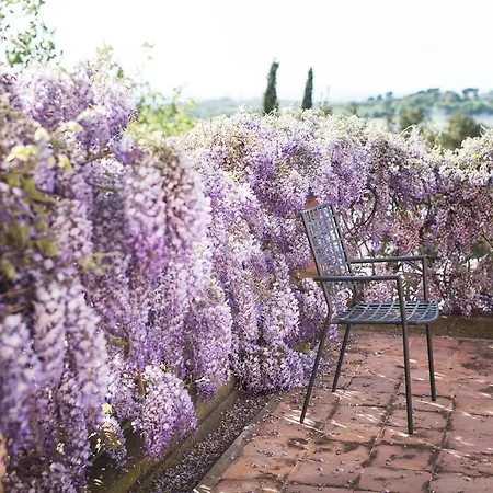 Villa Loggio Winery&Boutique Hotel-2