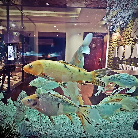 Aquarium Hotel-3