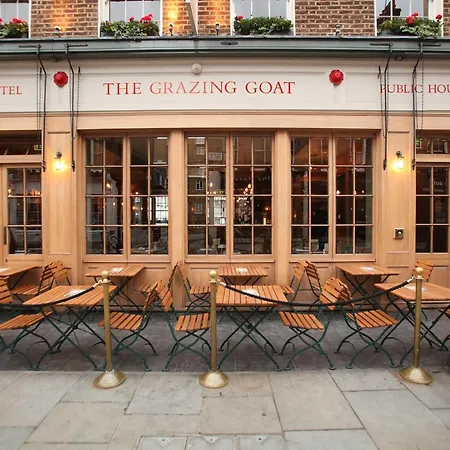 The Grazing Goat-2