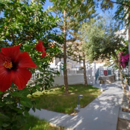 Iris Boutique Hotel-2