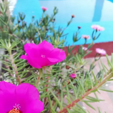 La Casona Hotel Boutique-2