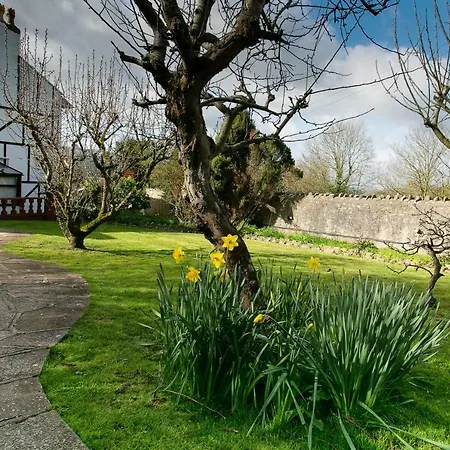 Redhill House Boutique Hotel-2