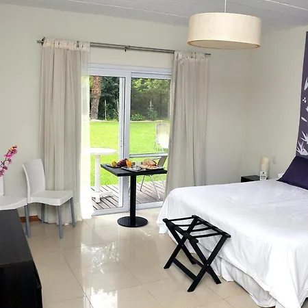 Mi Espacio Sur Hotel Boutique-3