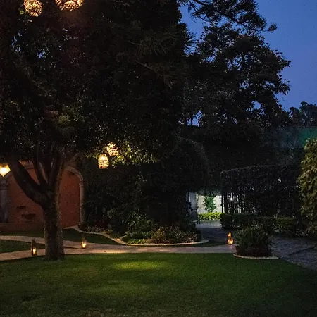 Gusto Cuernavaca-2