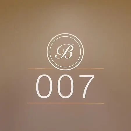 Boutique Hotel Bellevue Rheinfelden / Basel-2