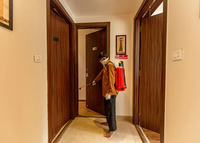 The Green Boutique Panaji