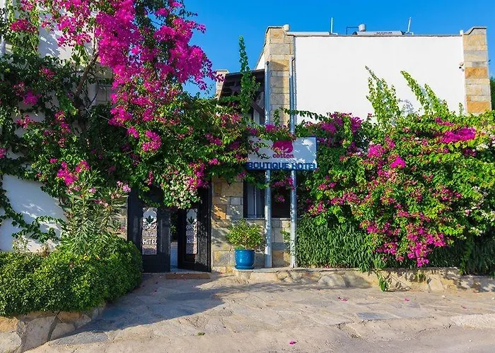 Cotton Boutique Hotel Bitez