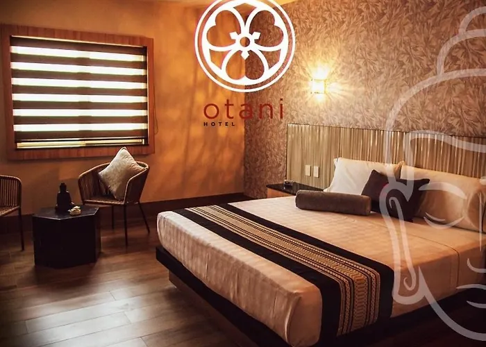 Otani Hotel Boutique León