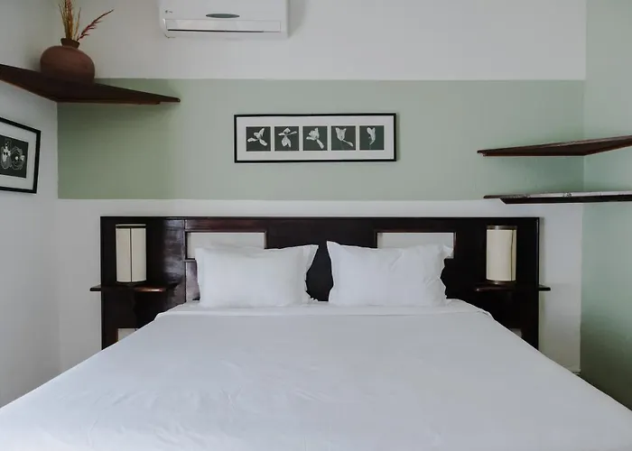 Los Agaves San Miguel de Allende