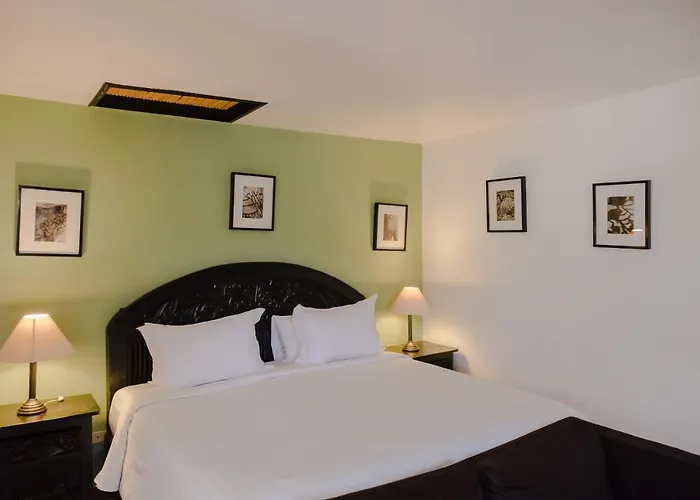 Los Agaves San Miguel de Allende