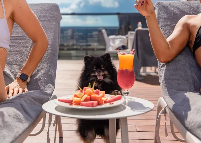 Serenity Hotel Boutique By Alsol Playa del Carmen