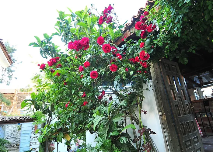 Kirkinca Hotel Selçuk