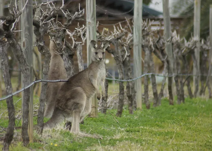 The Carriages Boutique Hotel And Vineyard Pokolbin