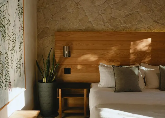 Casa Olivea Valle de Guadalupe