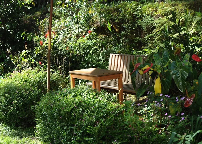 Stop And Go Boutique Hotel Da Lat