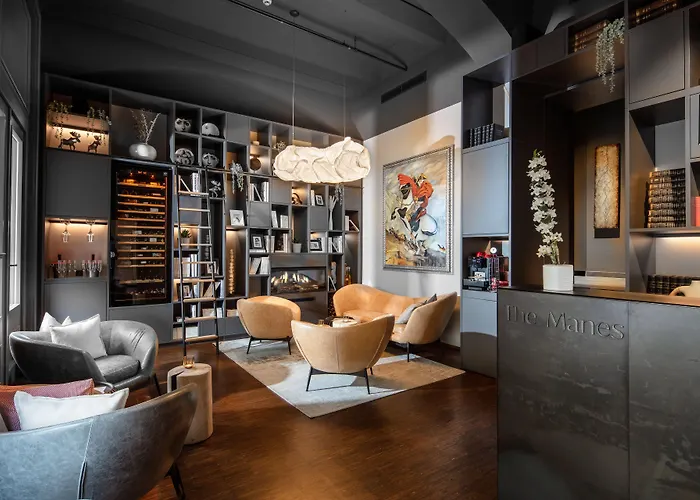 The Manes Boutique Hotel Praga