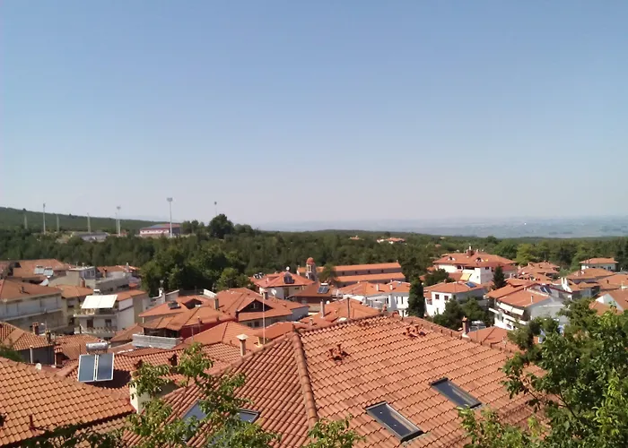 Olympus Mediterranean Boutique Hotel Litochoro