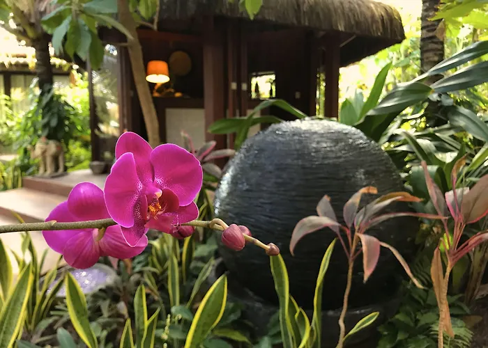 Paua Hotel Boutique Praia de Pipa
