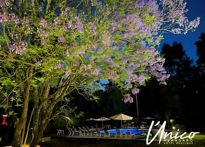 Hotel Boutique Unico Avandaro Valle de Bravo