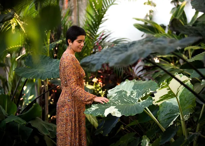 Amari Sayulita Boutique Hotel