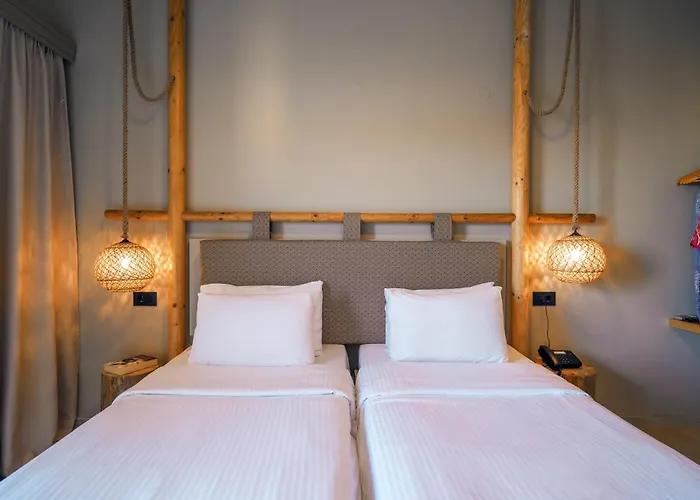 Asana Hotel Analipsi 