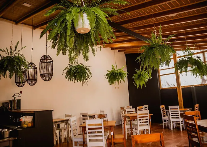 Hotel Luz de Luna San José