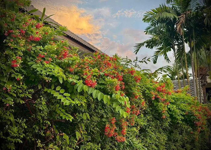 Shewe Wana Boutique Hotel (Adults Only) Chiang Mai