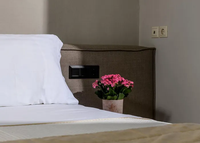 Louloudis Boutique Hotel (Adults Only) Skala Rachoni 