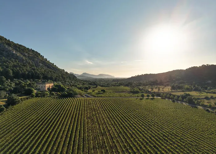 Son Brull Hotel & Spa - Relais & Chateaux Pollença