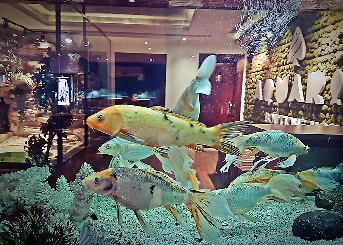 Aquarium Hotel Riyadh