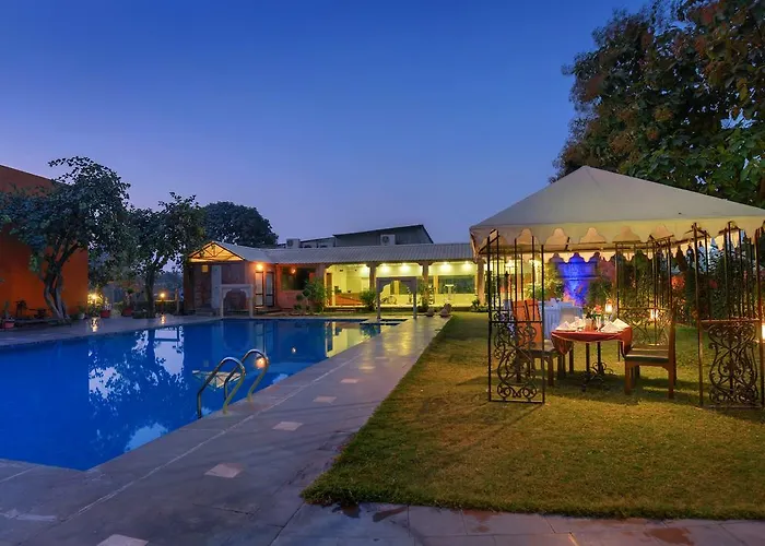 Treehouse Amaara A Boutique Hotel Jodhpur 