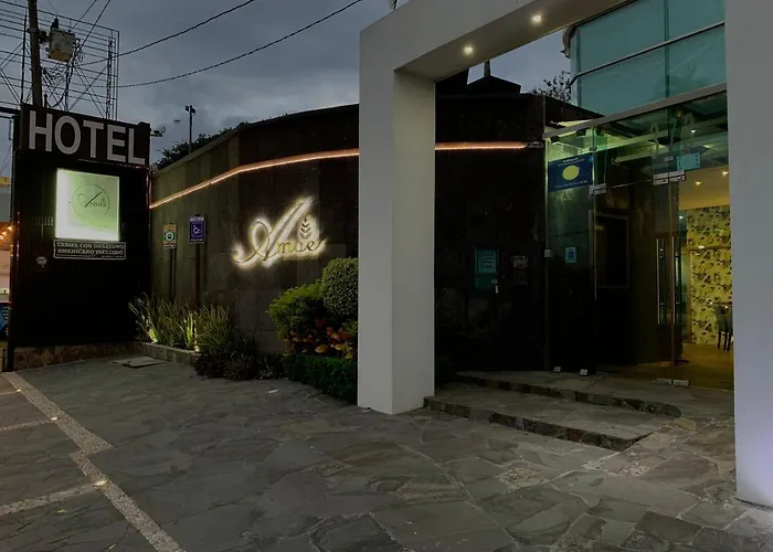Amoe Hotel Boutique & Spa Boca del Río